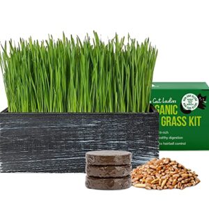 the cat ladies cat grass kit (organic) complete with rustic wood planter, seed and soil. easy to grow.