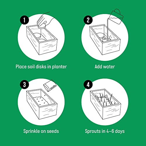 The Cat Ladies Cat Grass Kit (Organic) Complete with Rustic Wood Planter, Seed and Soil. Easy to Grow.