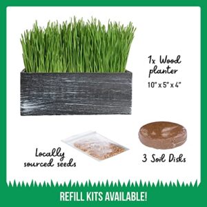 The Cat Ladies Cat Grass Kit (Organic) Complete with Rustic Wood Planter, Seed and Soil. Easy to Grow.