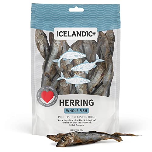 Icelandic+ Plus: Herring Whole Fish Dog Treat, 3-oz Bag, 100% Edible & Digestible, Reduces Tarter & Plaque Build-up, Full of Omega-3 for Healthy Skin and Shiny Coat