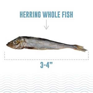 Icelandic+| All-Natural Cat Treats| Whole Fish Herring, 1.5 oz., Grey