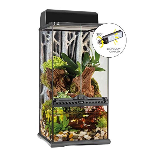 Exo Terra Deep Forest LED Lighting for Planted Reptile Terrariums