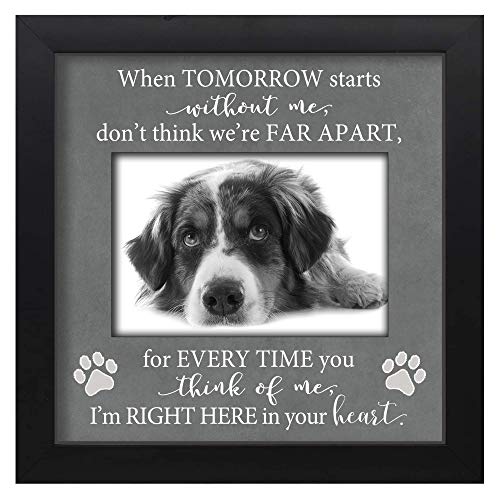 Dog loss picture frame, pet memorial gift with quote - when tomorrow starts without me don't think we're far apart 050 BL-9