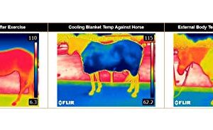 Weaver Leather CoolAid® Equine Cooling Blanket (84", Turquoise)