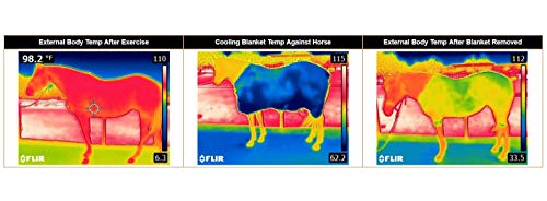 Weaver Leather CoolAid® Equine Cooling Blanket (84", Turquoise)