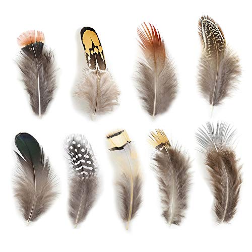 180pcs 9 Styled Natural Feathers Assorted Mixed Feathers for Jewelry and Dream Catcher Crafts