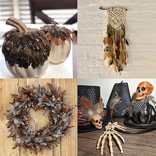 180pcs 9 Styled Natural Feathers Assorted Mixed Feathers for Jewelry and Dream Catcher Crafts