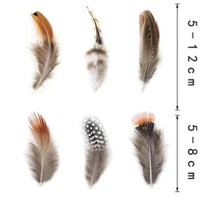 180pcs 9 Styled Natural Feathers Assorted Mixed Feathers for Jewelry and Dream Catcher Crafts