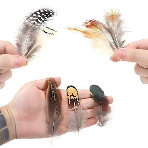 180pcs 9 Styled Natural Feathers Assorted Mixed Feathers for Jewelry and Dream Catcher Crafts