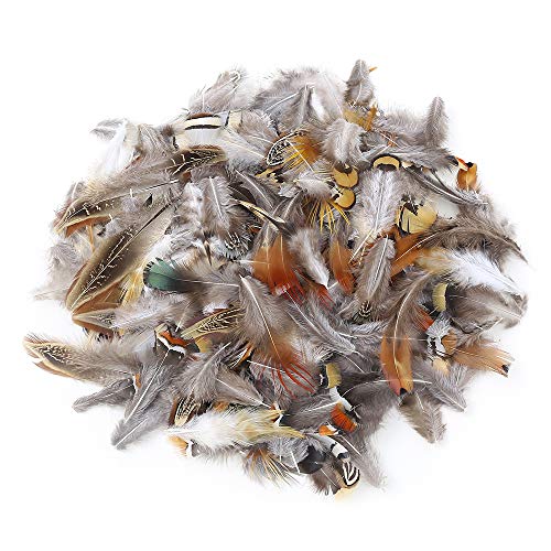 180pcs 9 Styled Natural Feathers Assorted Mixed Feathers for Jewelry and Dream Catcher Crafts