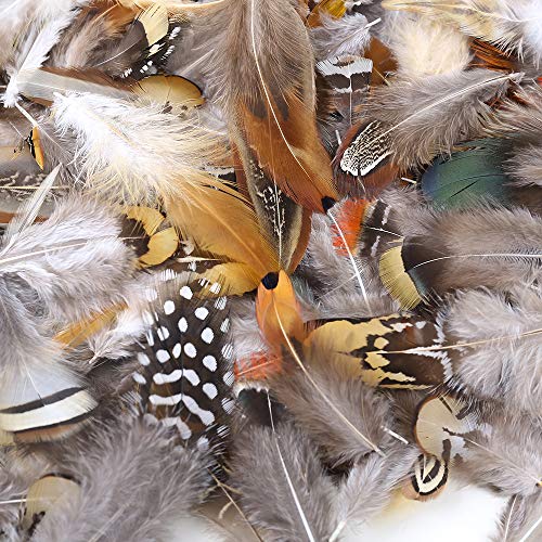 180pcs 9 Styled Natural Feathers Assorted Mixed Feathers for Jewelry and Dream Catcher Crafts