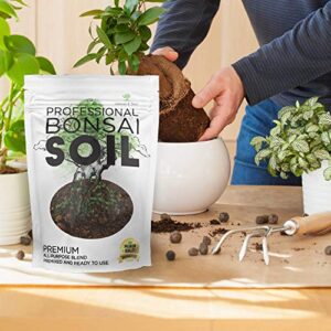 Bonsai Soil Premium All Purpose Blend | Pre-Mixed Ready to Use for Plant Support and Fast Drainage | Large 2.2 Quarts | Lava, Limestone Pearock, Calcined Clay and Pinebark | Made in USA
