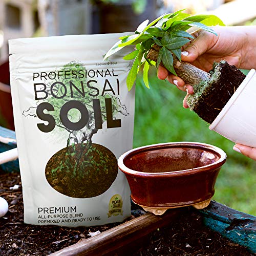 Bonsai Soil Premium All Purpose Blend | Pre-Mixed Ready to Use for Plant Support and Fast Drainage | Large 2.2 Quarts | Lava, Limestone Pearock, Calcined Clay and Pinebark | Made in USA