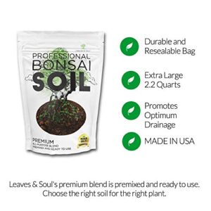 Bonsai Soil Premium All Purpose Blend | Pre-Mixed Ready to Use for Plant Support and Fast Drainage | Large 2.2 Quarts | Lava, Limestone Pearock, Calcined Clay and Pinebark | Made in USA