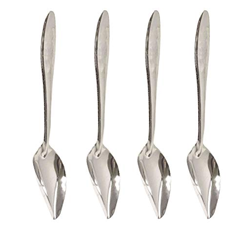 HONBAY 4PCS Stainless Steel Bird Feeder Spoons Parrot Feeding Scoops Hand Feeding Spoons for Parrot