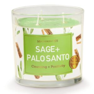 Magnificent 101 Sage & Palo Santo Energy Cleansing Candle in 14-oz. Glass Holder: 100% Natural Soy Wax & Essential Oils for Smudging, Aromatherapy, Meditation, Intention Setting; Housewarming Gift