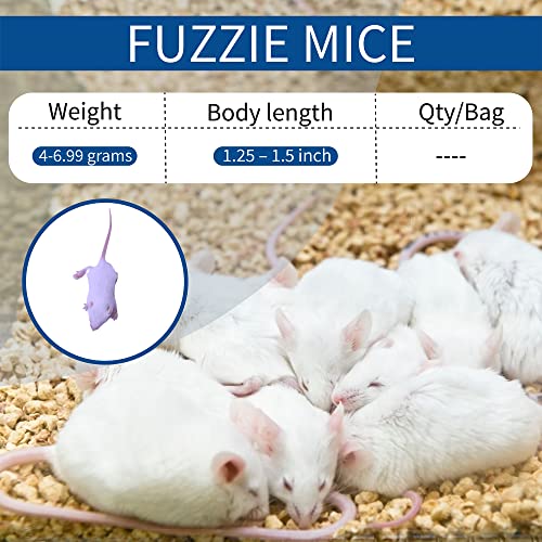 MiceDirect Frozen Fuzzie Feeder Mice Food for Juvenile Hognose, Corn & Milk Snakes (20 Count)