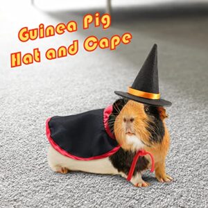 RYPET Guinea Pig Holiday Costumes - Guinea Pig Hat and Cape for Ferret Chinchilla Bearded Dragon and Other Similar Sized Animal