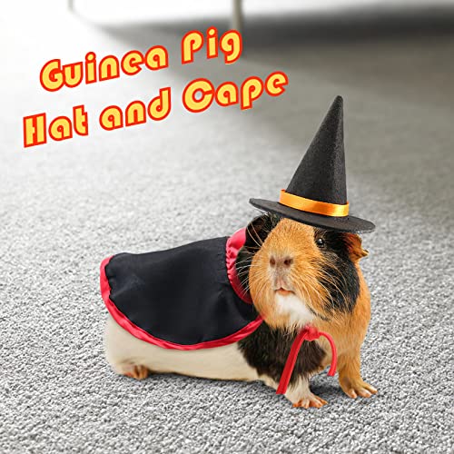 RYPET Guinea Pig Holiday Costumes - Guinea Pig Hat and Cape for Ferret Chinchilla Bearded Dragon and Other Similar Sized Animal