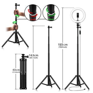 Ring Light with 76.7" Extendable Tripod Stand and 2-in-1Phone/Tablet Tripod, 12-inch Selfie Ring Light Full Kit, Dimmable Desk Makeup Circle Led Ring Light for TikTok, 3 Modes 10 Brightness Levels