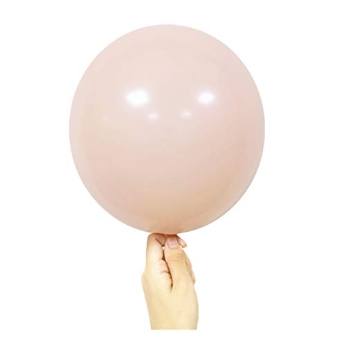 Pastel Peach Balloons 50 Pcs 12 inch Latex Party Balloons for Wedding Engagement Birthday Baby Shower Party Decoration