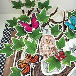 Schoolgirl Style Woodland Whimsy Collection—Bulletin Boards, Bulletin Board Borders, Inspirational Posters, Cutouts, Nameplates, Homeschool or Classroom Décor (374 pc)