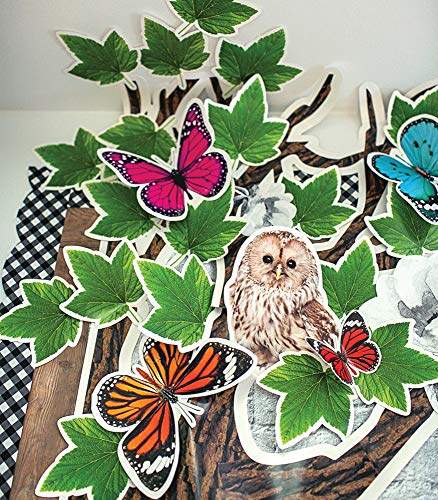 Schoolgirl Style Woodland Whimsy Collection—Bulletin Boards, Bulletin Board Borders, Inspirational Posters, Cutouts, Nameplates, Homeschool or Classroom Décor (374 pc)