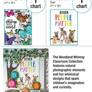 Schoolgirl Style Woodland Whimsy Collection—Bulletin Boards, Bulletin Board Borders, Inspirational Posters, Cutouts, Nameplates, Homeschool or Classroom Décor (374 pc)