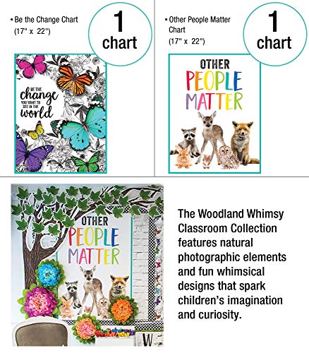 Schoolgirl Style Woodland Whimsy Collection—Bulletin Boards, Bulletin Board Borders, Inspirational Posters, Cutouts, Nameplates, Homeschool or Classroom Décor (374 pc)