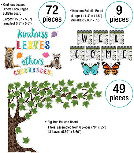 Schoolgirl Style Woodland Whimsy Collection—Bulletin Boards, Bulletin Board Borders, Inspirational Posters, Cutouts, Nameplates, Homeschool or Classroom Décor (374 pc)