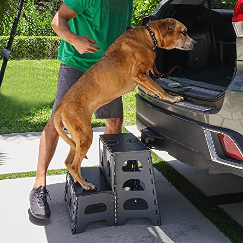 Bee Neat 2 Step Folding Step Stool for Pets and Dogs - Indoor Outdoor Foldable Pet Stairs Ideal for High Bed, Car, SUV & More – Collapsible Step Stool Ladder Supports 200lbs - Gray