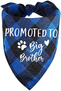 family kitchen promoted to big brother blue plaid dog bandana, gender reveal photo prop triangle pet scarf scarves decorations accessories, pet scarves dog lovers gift