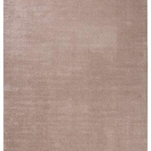 SAFAVIEH Plain and Solid Collection 5'5" x 7'7" Taupe PNS320 Non-Shedding Living Room Bedroom Dining Home Office Area Rug