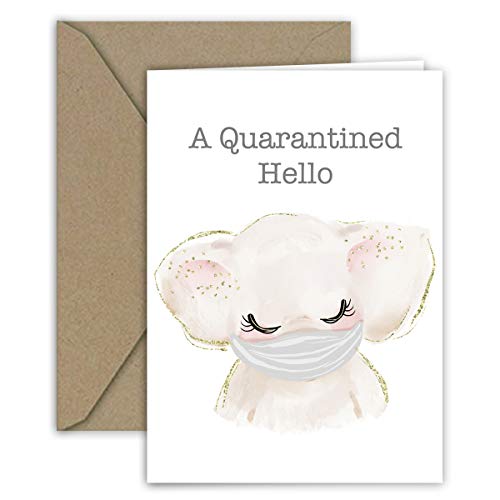 Paper Frenzy Masked Animals Quarantine Notes for Social Distancing Greeting Cards - 5 Different Designs (5 Cards per Design - 25 Total Cards)