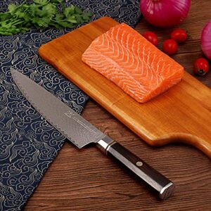 FAMCÜTE 8" Chef's Knife, Made of 67 Layers Damascus w/Octago Indonesian Ebony Handle Professional Japanese Gyuto Knife have Razor Sharp and Superb Edge Retention