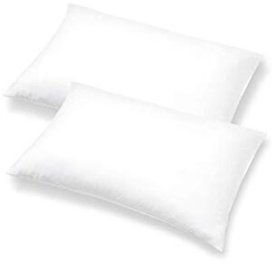 PILLOWS WITH A PURPOSE Pillow Inserts - Pack of 2-12" x 16" Rectangular Decorative Throw or Sham for Couch - Bed - Sofa