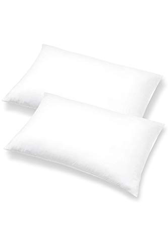 PILLOWS WITH A PURPOSE Pillow Inserts - Pack of 2-12" x 16" Rectangular Decorative Throw or Sham for Couch - Bed - Sofa