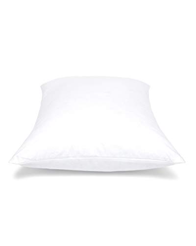PILLOWS WITH A PURPOSE Pillow Inserts - Pack of 2-12" x 16" Rectangular Decorative Throw or Sham for Couch - Bed - Sofa