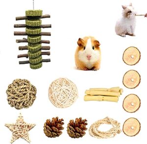 fansisco bunny chew toys for teeth grinding,molar rabbit toys organic apple chewing sticks,chew treats and balls for hamster,rabbit, bunny, chinchilla, guinea pig, small animal