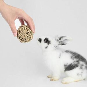 Fansisco Bunny Chew Toys for Teeth Grinding,Molar Rabbit Toys Organic Apple Chewing Sticks,Chew Treats and Balls for Hamster,Rabbit, Bunny, Chinchilla, Guinea Pig, Small Animal