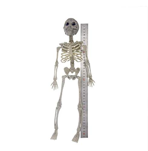 Feinasu 40cm Posable Halloween Full Body Skeleton Props Realistic Human Bones With Movable