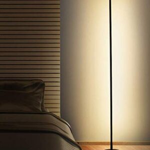 LAKIQ Modern Linear Standing Floor Lamps Living Room Black LED Floor Light with Plug for Reading Bedroom(Warm Light)