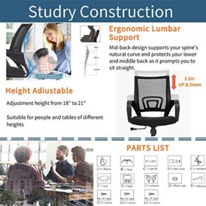 Payhere Executive Task Ergonomic Desk Home Computer Gaming Office Chair Mesh Working Chair with Mid-Back Lumbar Support Armrest Modern Adjustable Swivel Rolling Desk Chair for Women Men, Black