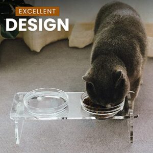 Dog and Cat Bowls Elevated Set - Acrylic Feeder Stand with 2 Set Removable Stainless Steel and Glass Bowls Food and Water Raised Dishes for Small Pet,3.75 inches