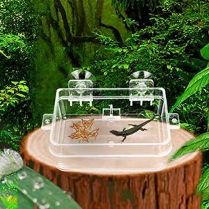 IAFVKAI Reptile Feeder Acrylic Anti Escape Gecko Chameleon Food Water Feeding Bowl Amphibians Worm Feeding Box for Snake Python Spider Lizard Scorpion Insects