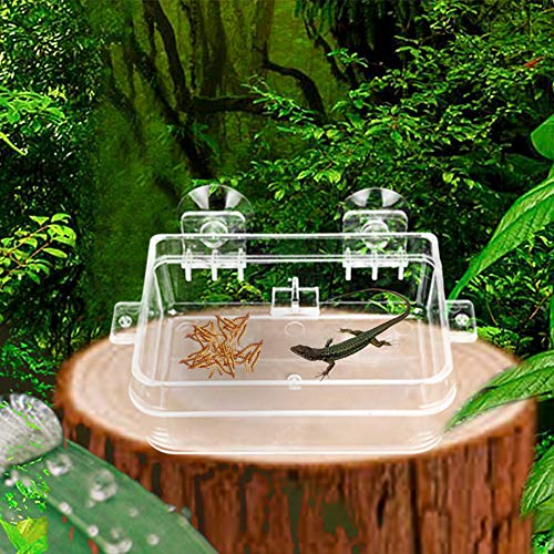 IAFVKAI Reptile Feeder Acrylic Anti Escape Gecko Chameleon Food Water Feeding Bowl Amphibians Worm Feeding Box for Snake Python Spider Lizard Scorpion Insects