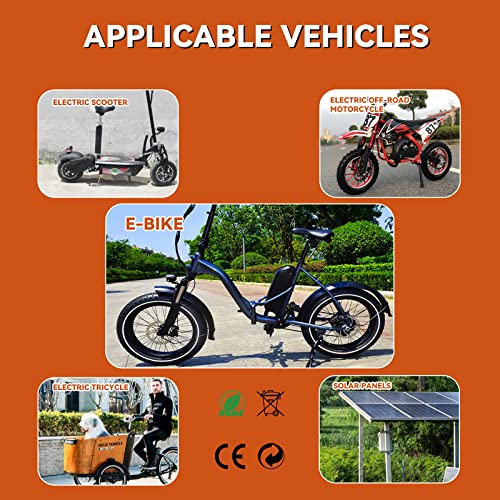 BtrPower 36V 48V Ebike Battery,10AH Lithium ion Battery Pack with 3A Charger and BMS for Electric Bike,Scooter,Motorcycle,250W 350W 500W 750W Motor