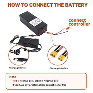 BtrPower 36V 48V Ebike Battery,10AH Lithium ion Battery Pack with 3A Charger and BMS for Electric Bike,Scooter,Motorcycle,250W 350W 500W 750W Motor