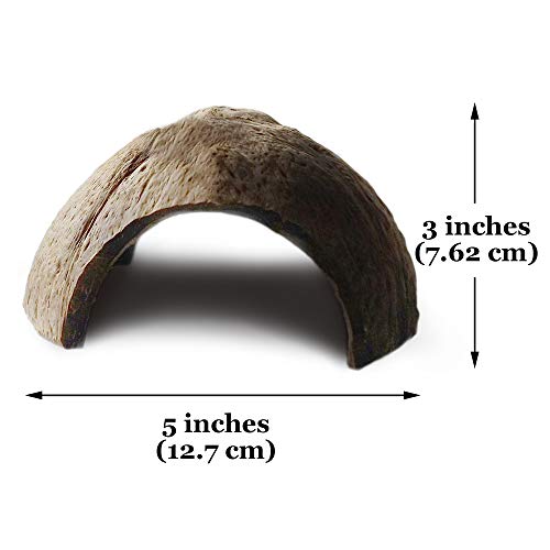 MERIC 2-Pack Coco Hut for Spiders, Comfortable Hideaway Spots and Climbing Hills for Hermit Crab & Arachnids, Makes Great Anchor Points for Web-Building, Coconut Shell Material