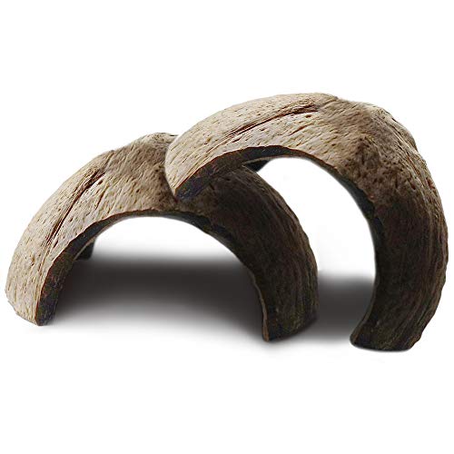 MERIC 2-Pack Coco Hut for Spiders, Comfortable Hideaway Spots and Climbing Hills for Hermit Crab & Arachnids, Makes Great Anchor Points for Web-Building, Coconut Shell Material